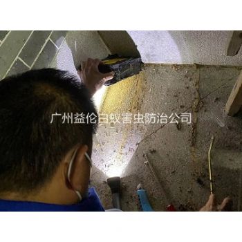 花（huā）都房屋滅治白螞蟻