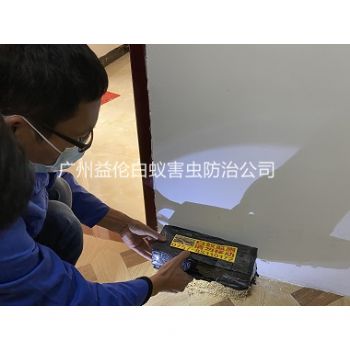 白雲尚城小區殺白蟻