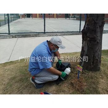 廣(guǎng)州(zhōu)中學防治紅火蟻