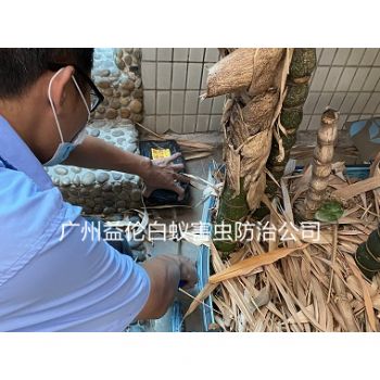 白雲良田村白蟻危害防治工程