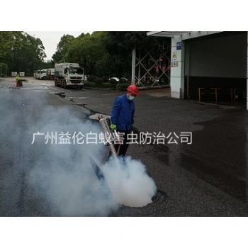 芳村街道消殺蟑螂(láng)蚊蠅