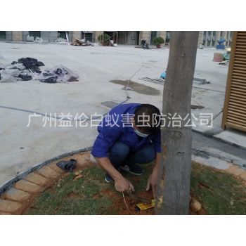 越秀裝置白蟻誘殺箱（xiāng）