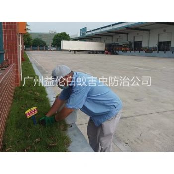 天河企業（yè）殺除（chú）紅火蟻