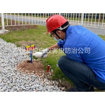 海珠園區治（zhì）紅火蟻