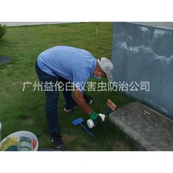 番禺紅（hóng）火蟻消殺案例