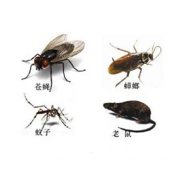 四害消殺(shā)工程(chéng)